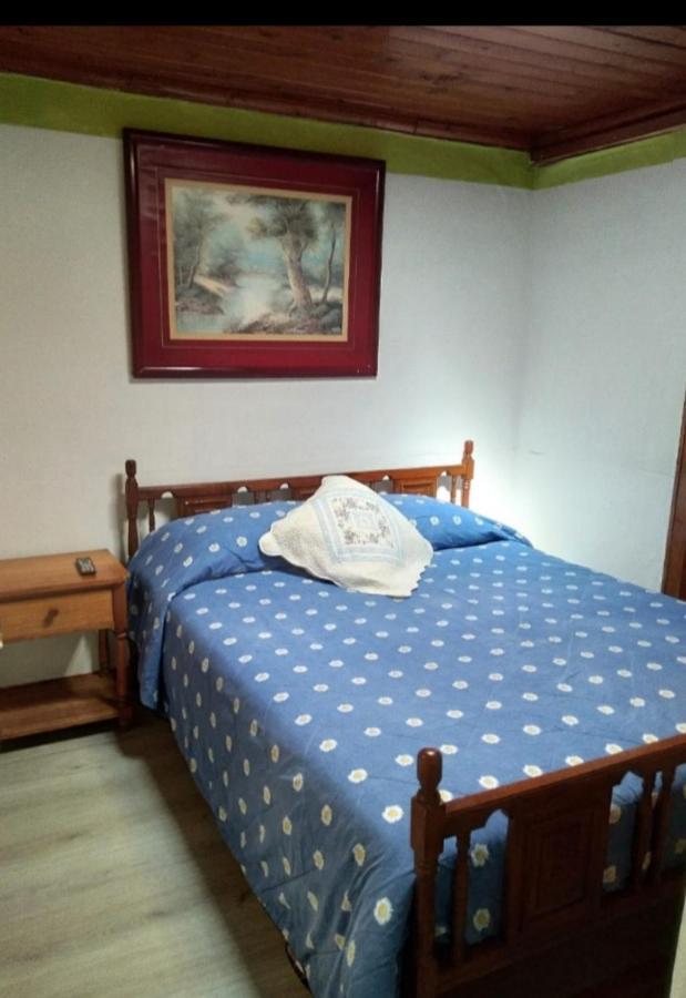 Gomero Santa Cruz